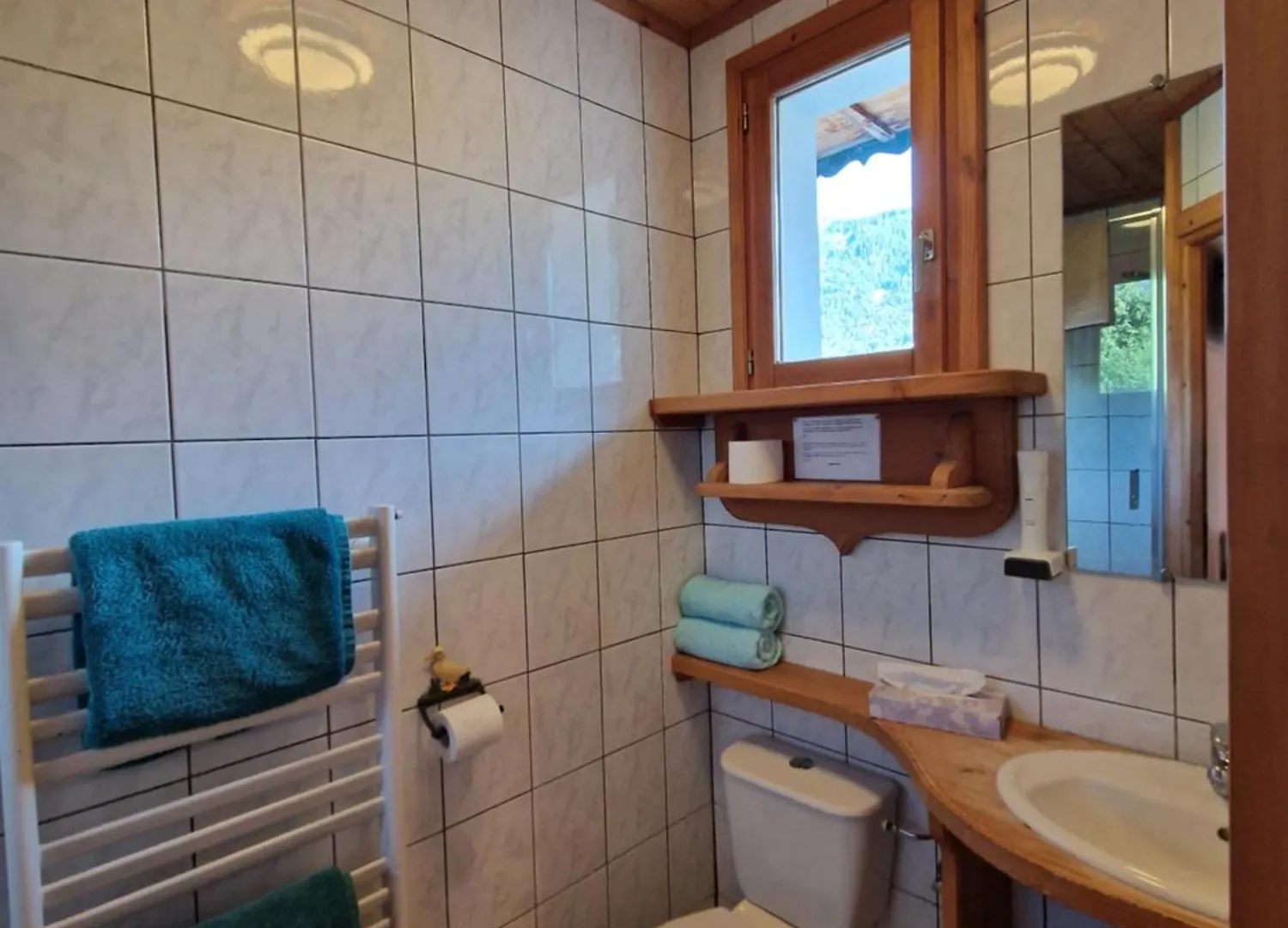 Fleur Des Neiges Hotel Morzine