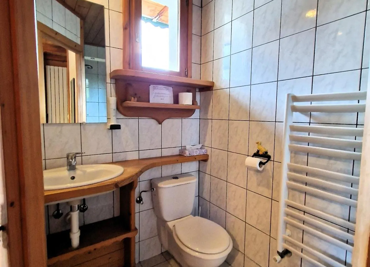 Fleur Des Neiges Hotel Morzine 3*,  France